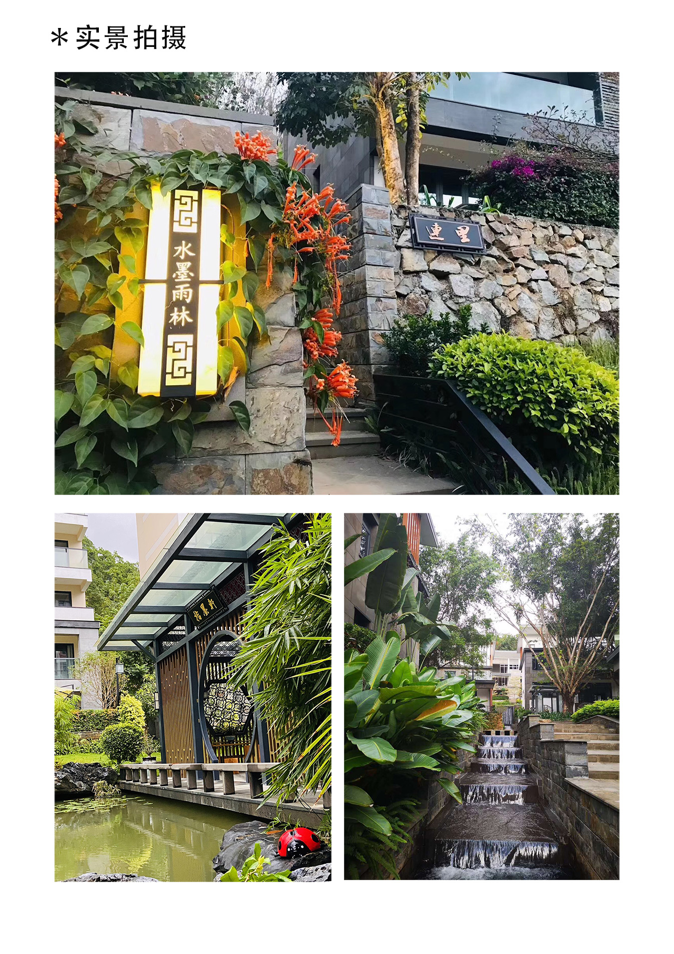 水墨雨林1.jpg