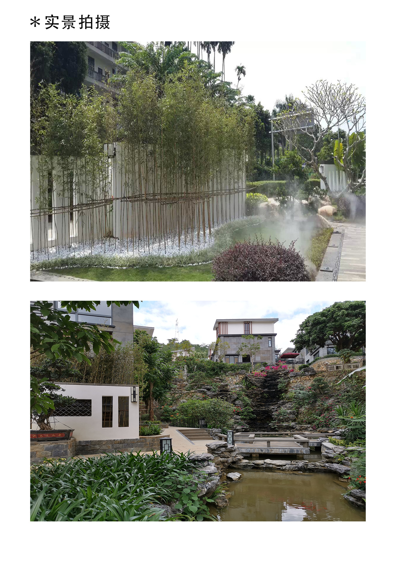 水墨雨林3jpg.jpg
