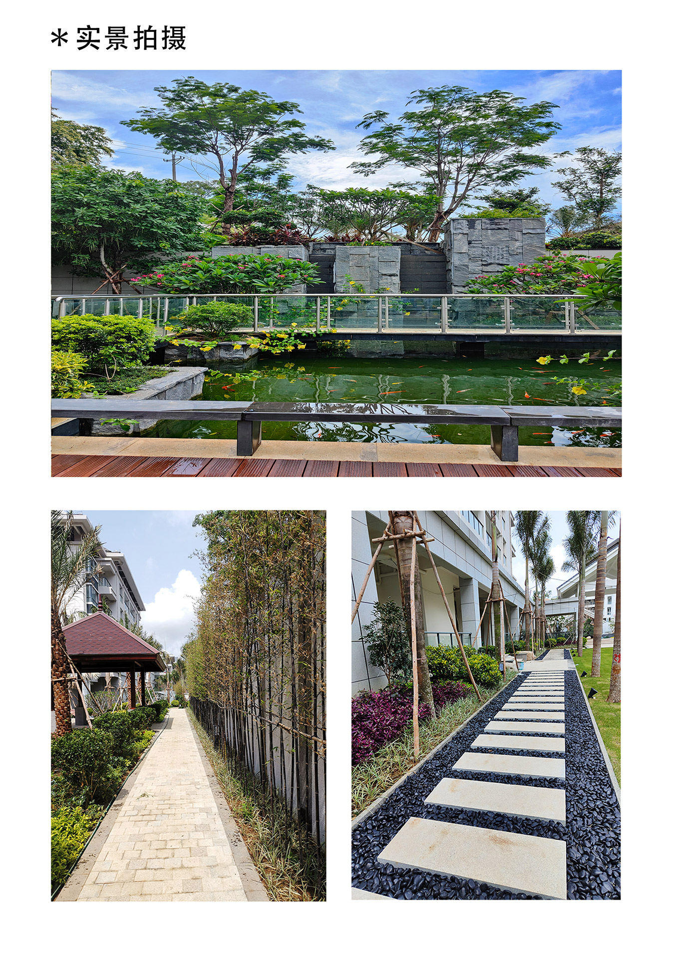 山海1.jpg
