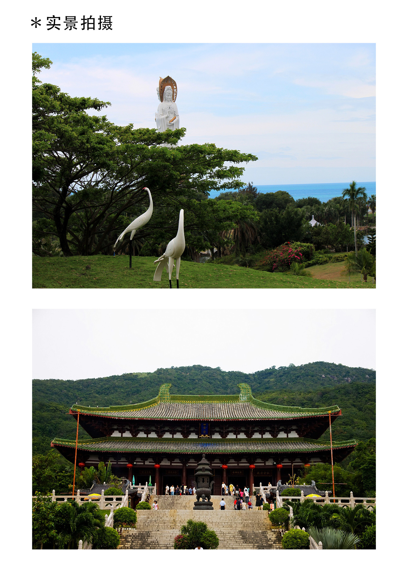 问问.jpg